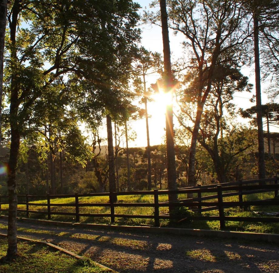 Sitio Arapongas Villa Campo Alegre  Dış mekan fotoğraf