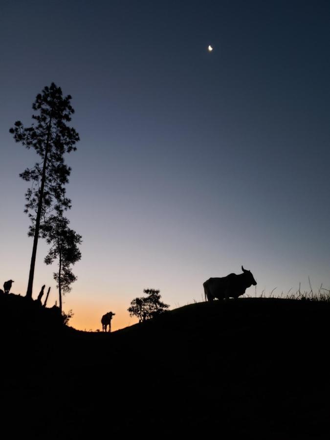 Sitio Arapongas Villa Campo Alegre  Dış mekan fotoğraf