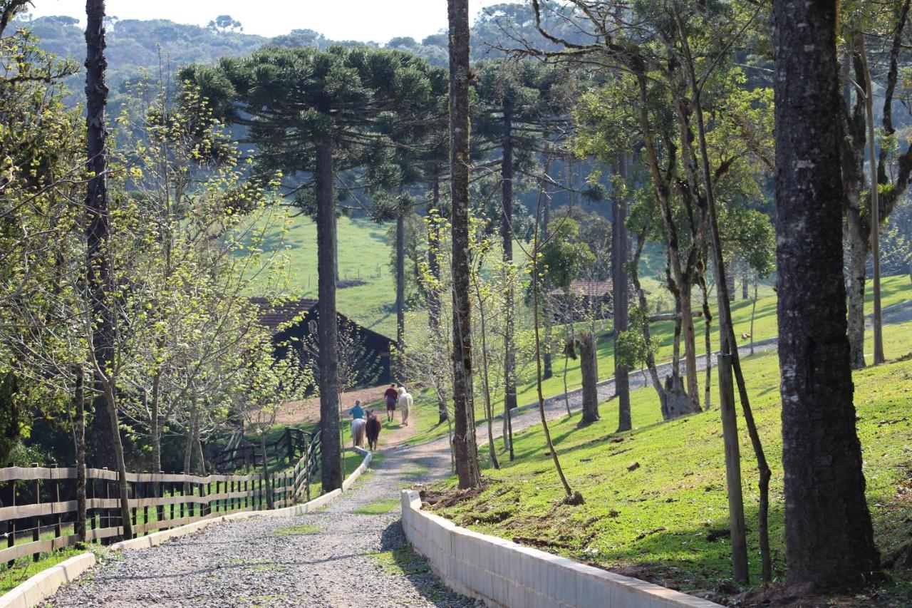 Sitio Arapongas Villa Campo Alegre  Dış mekan fotoğraf